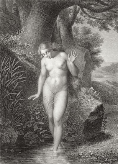 Havva
